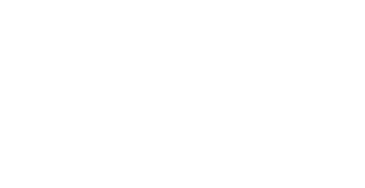 light logo